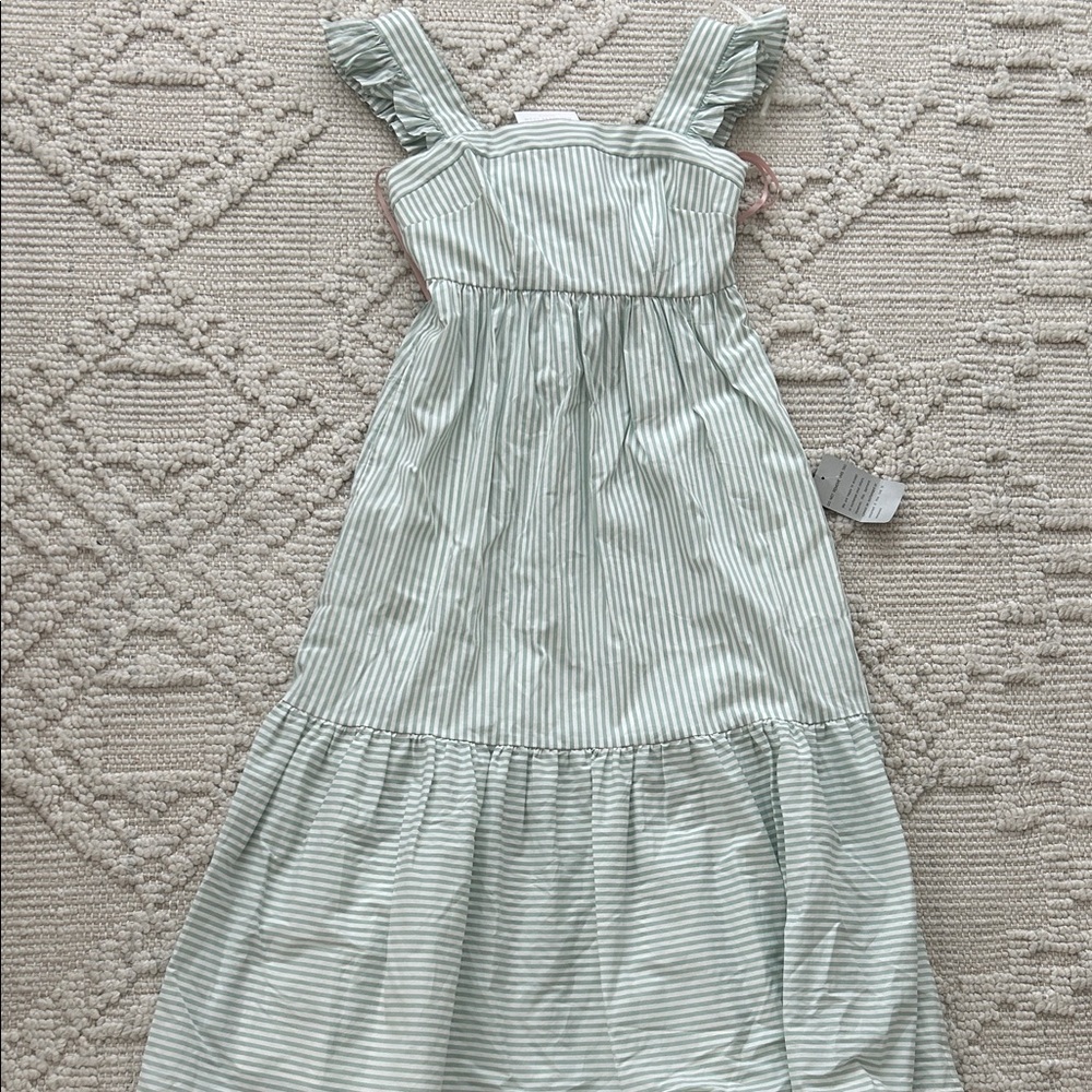 gal meets glam maxi dress 00P nwt